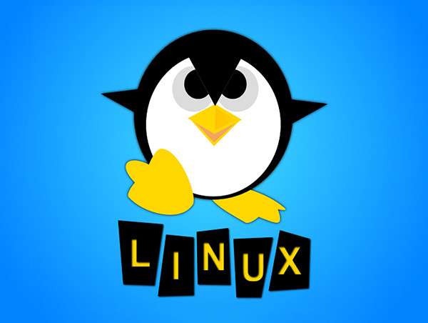 Linux常用20个命令及详解